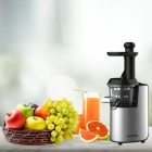 Máy ép trái cây chậm Hafele, thép không gỉ GS-133N / 535.43.811 - Ảnh 2