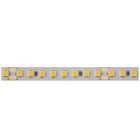 Đèn LED dây Hafele, đơn sắc 5mét Loox5 LED 3048 24V 8mm 2-pin / 833.76.256 - Ảnh 3